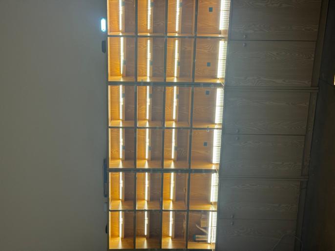 Light bars illuminated together in a factory display rack